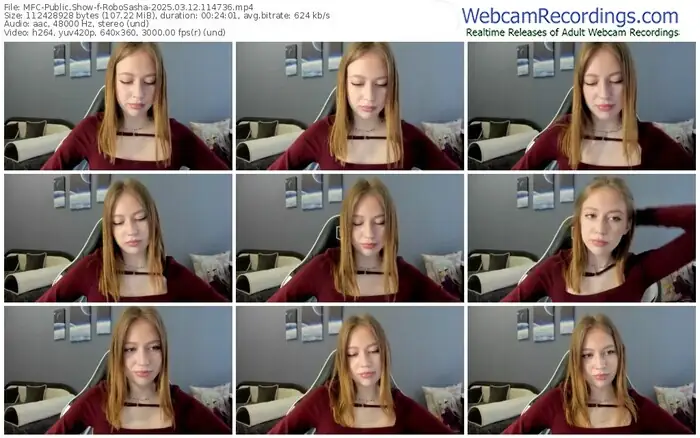 2025/03/12/mfc-robosasha-11-47-36
