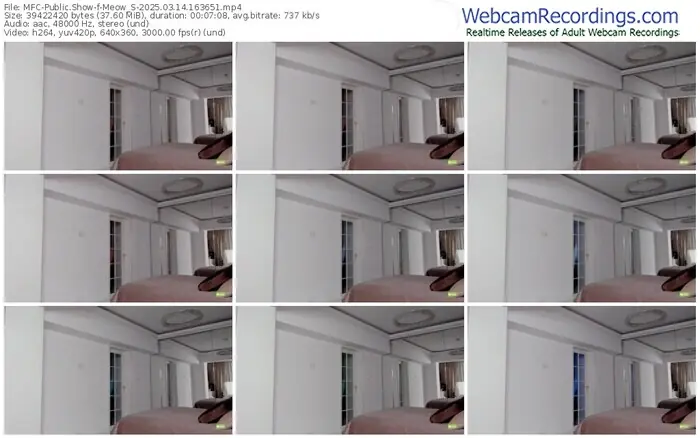 2025/03/14/mfc-meow_s-16-36-51