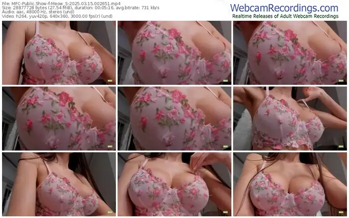 2025/03/15/mfc-meow_s-00-26-51