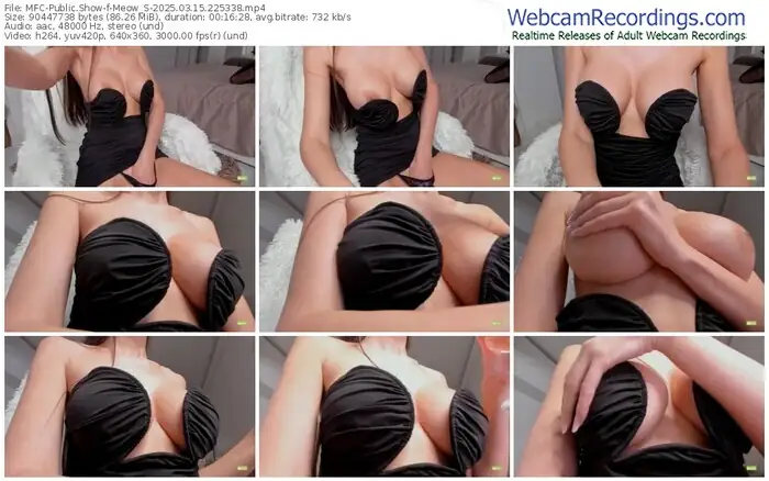 2025/03/15/mfc-meow_s-22-53-38