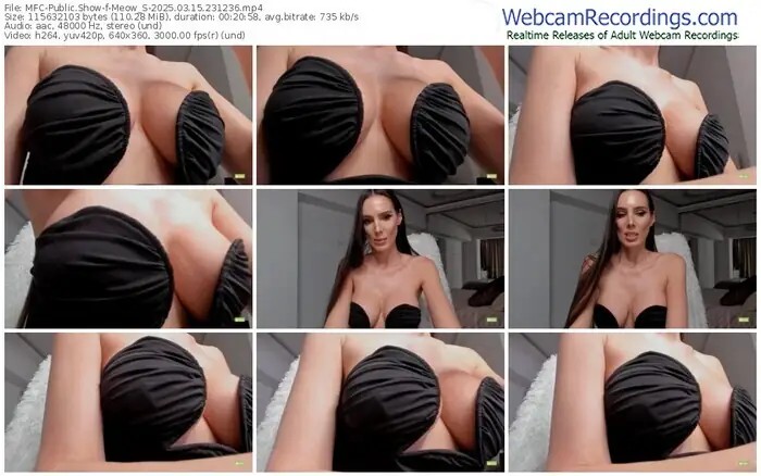 2025/03/15/mfc-meow_s-23-12-36