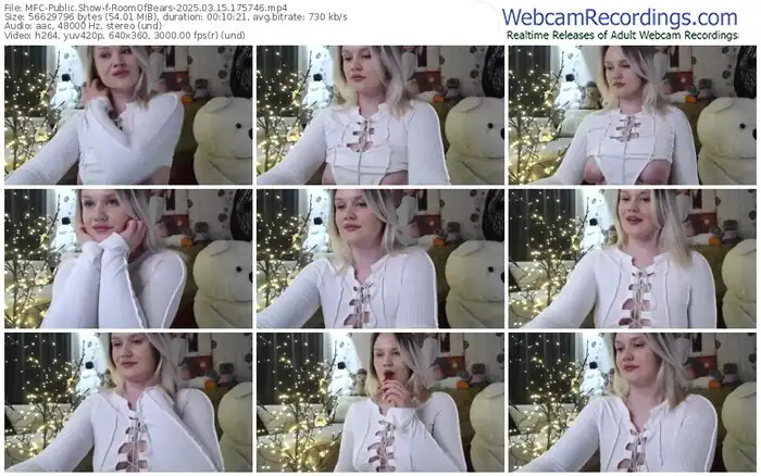 2025/03/15/mfc-roomofbears-17-57-46