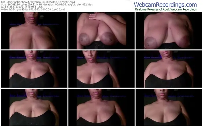 2025/03/15/mfc-slayzgemini-07-33-05