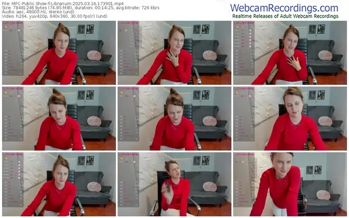 2025/03/16/mfc-librarium-17-39-01