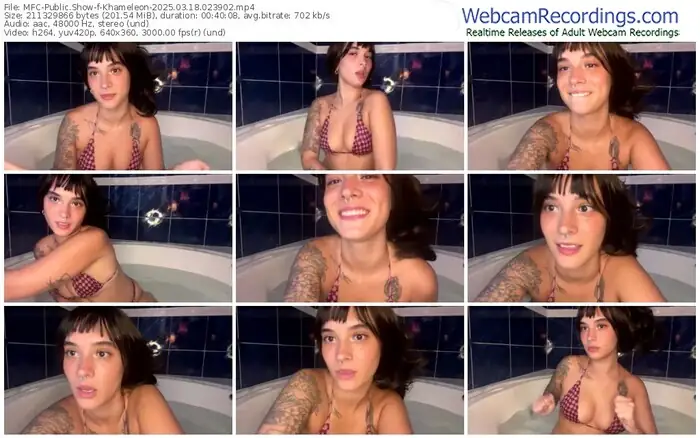 2025/03/18/mfc-khameleon-02-39-02