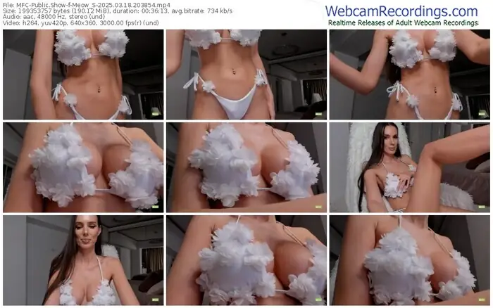 2025/03/18/mfc-meow_s-20-38-54