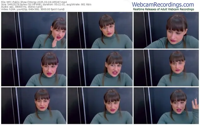 2025/03/18/mfc-morgy-18-53-47