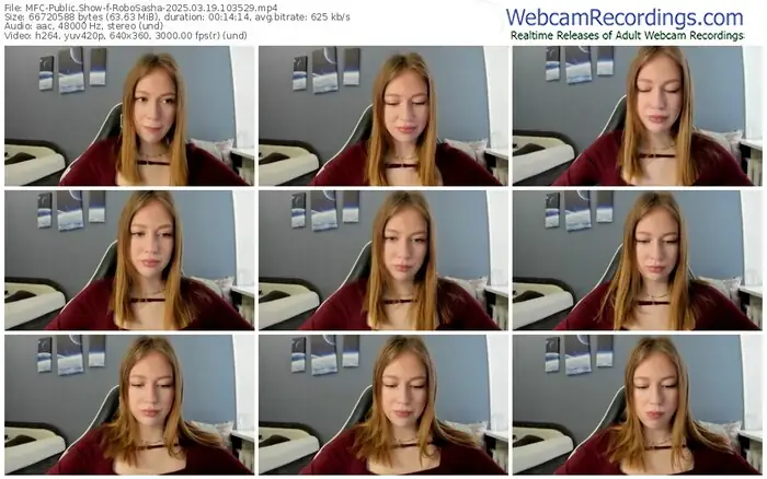 2025/03/19/mfc-robosasha-10-35-29