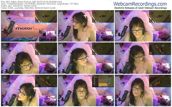 2025/03/20/mfc-vecca_salt-20-49-45