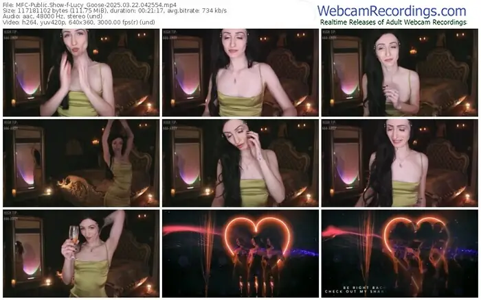 2025/03/22/mfc-lucy_goose-04-25-54