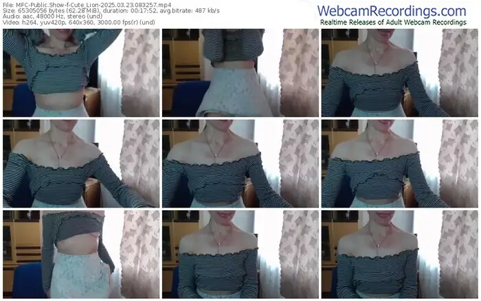 2025/03/23/mfc-cute_lion-08-32-57