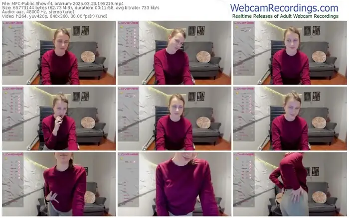 2025/03/23/mfc-librarium-19-52-19