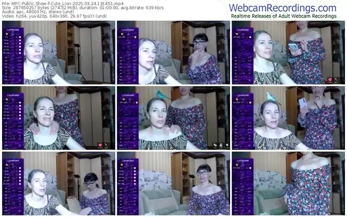 2025/03/24/mfc-cute_lion-13-14-51