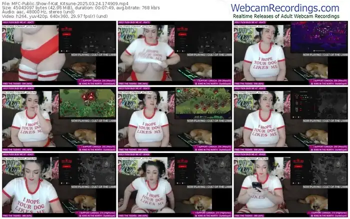 2025/03/24/mfc-kat_kitsune-17-49-09