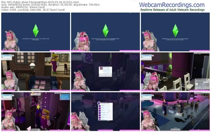 2025/03/26/mfc-korpsekitten-01-31-52