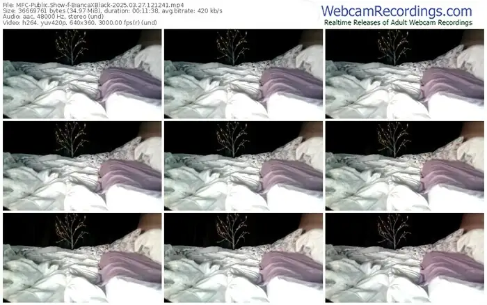 2025/03/27/mfc-biancaxblack-12-12-41