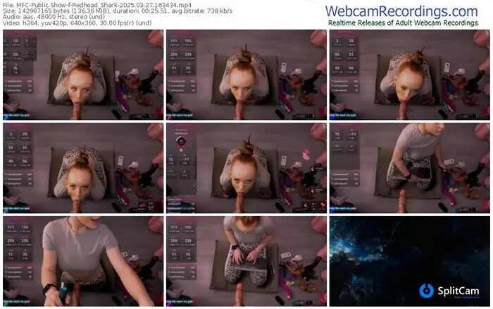 2025/03/27/mfc-redhead_shark-16-34-34