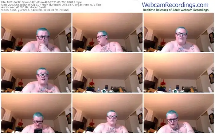 2025/03/29/mfc-ajthepunk420-10-30-12