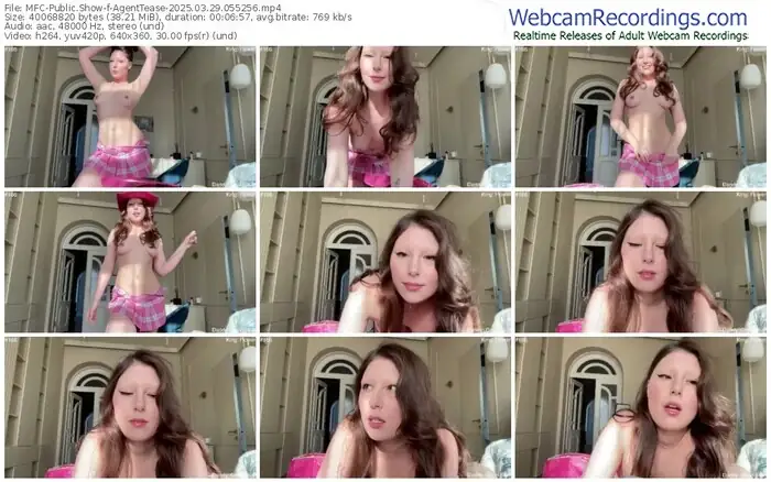 2025/03/29/mfc-agenttease-05-52-56