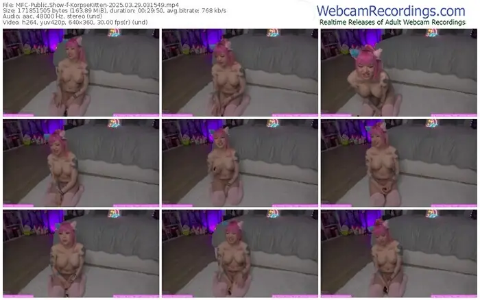 2025/03/29/mfc-korpsekitten-03-15-49