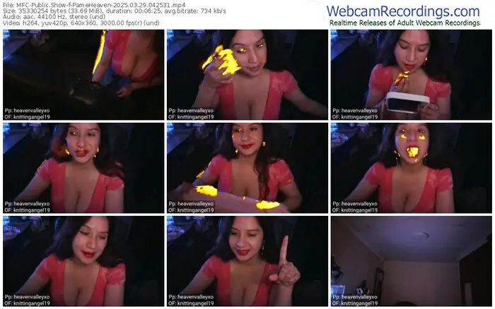 2025/03/29/mfc-pameheaven-04-25-31