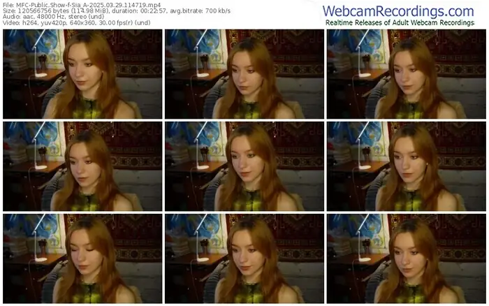 2025/03/29/mfc-sia_a-11-47-19