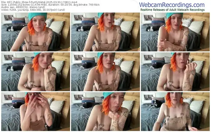 2025/03/30/mfc-purrtymetal-17-08-11