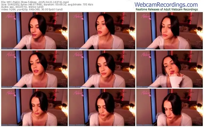 2025/04/01/mfc-abiee_-16-37-41