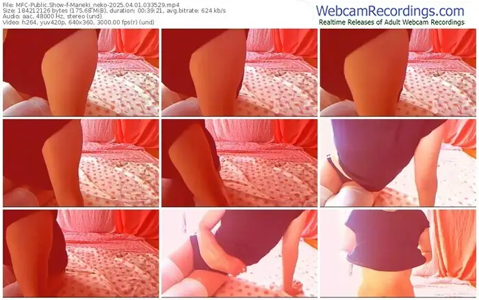 2025/04/01/mfc-maneki_neko-03-35-29