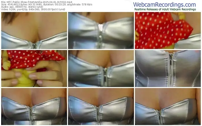 2025/04/01/mfc-notvanilla-01-55-32