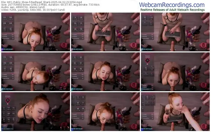 2025/04/02/mfc-redhead_shark-21-30-54