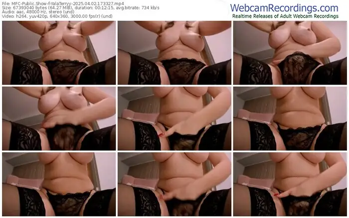 2025/04/02/mfc-yalaterryy-17-33-27