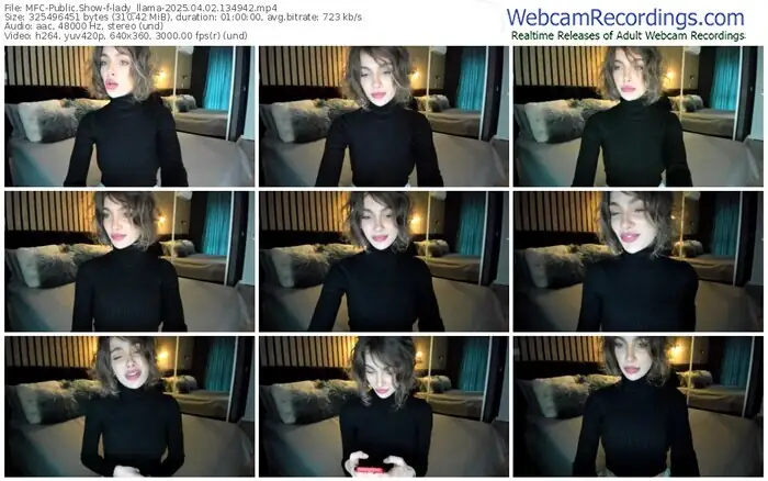 2025/04/02/mfc-lady_llama-13-49-42