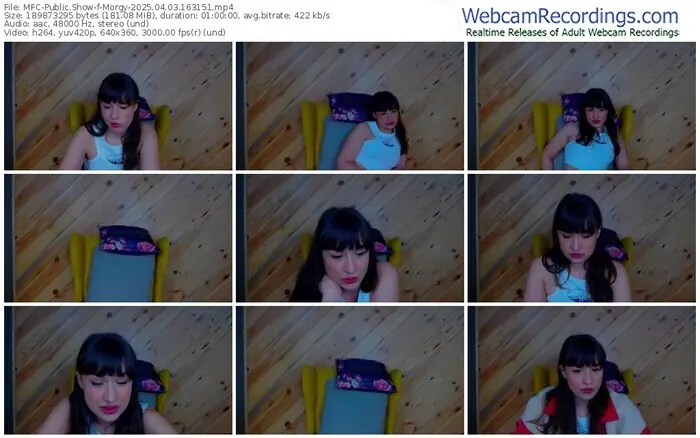 2025/04/03/mfc-morgy-16-31-51