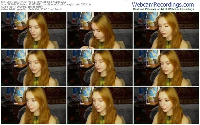 2025/04/03/mfc-sia_a-12-04-08