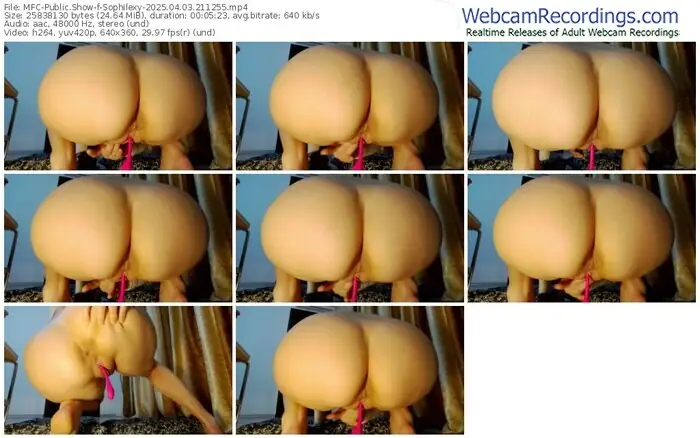 2025/04/03/mfc-sophilexy-21-12-55