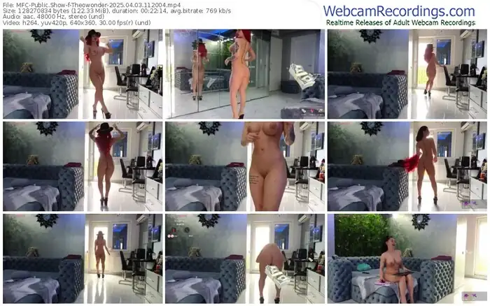 2025/04/03/mfc-theowonder-11-20-04