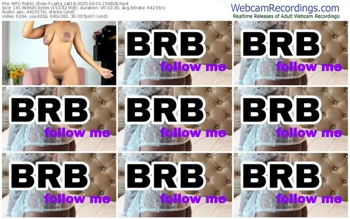 2025/04/03/mfc-catta_cat18-15-48-28