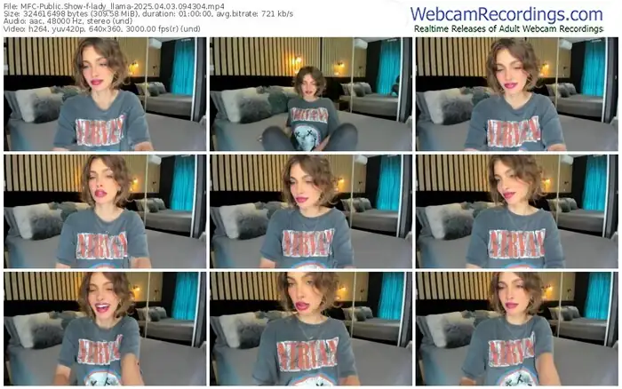 2025/04/03/mfc-lady_llama-09-43-04