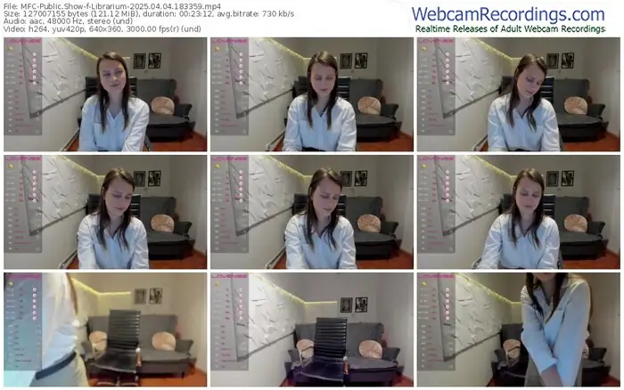 2025/04/04/mfc-librarium-18-33-59