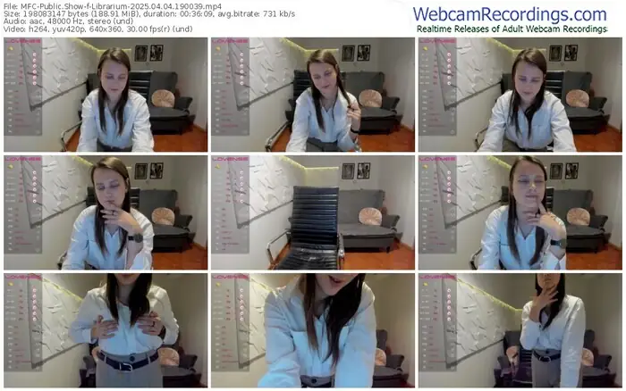 2025/04/04/mfc-librarium-19-00-39