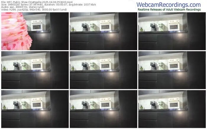 2025/04/06/mfc-kattgalle-05-36-00