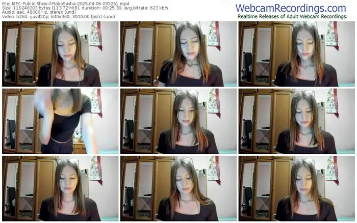 2025/04/06/mfc-robosasha-09-32-51