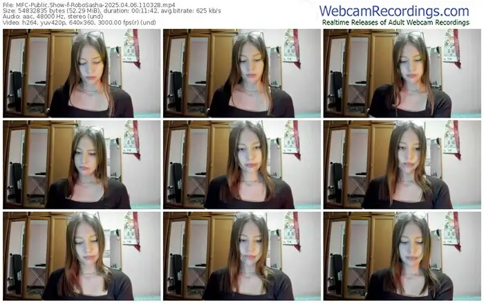 2025/04/06/mfc-robosasha-11-03-28