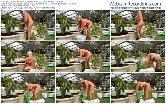 2025/04/08/mfc-adriana_fox-23-27-46