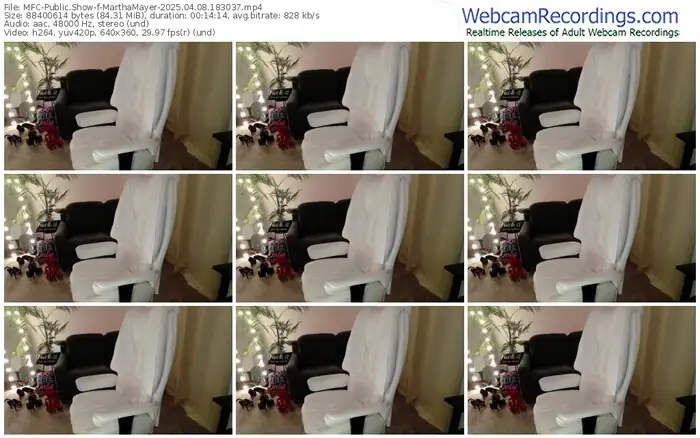 2025/04/08/mfc-marthamayer-18-30-37