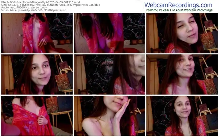 2025/04/09/mfc-dragonfly9-00-13-10