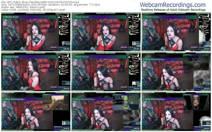 2025/04/09/mfc-wildwyliepm-02-57-05