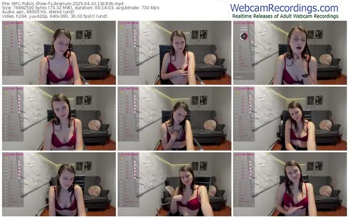 2025/04/10/mfc-librarium-19-18-36