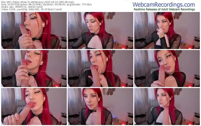 2025/04/10/mfc-liittlebunny-09-51-48